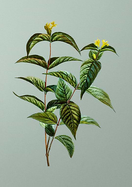 Classic Flower on Green