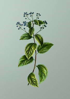 Classic Flower on Green