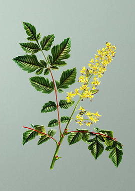 Antique Flower on Green