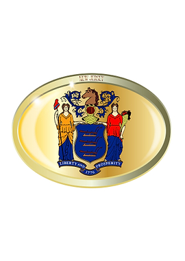 New Jersey State Flag