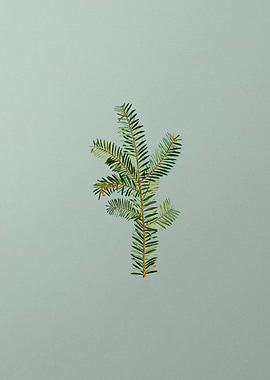 Vintage Flower on Green