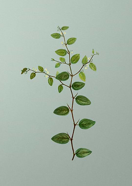 Classic Botanical on Green