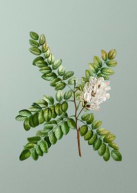 Classic Botanical on Green