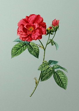 Vintage Botanical on Green