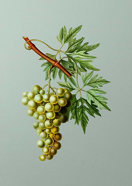 Antique Flower on Green