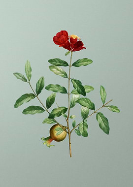 Botanical Drawing on Green