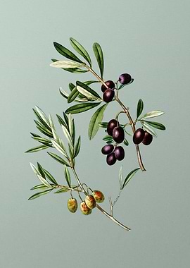 Classic Flower on Green