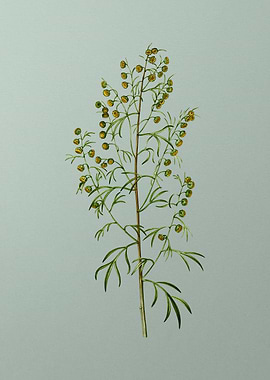 Classic Flower on Green