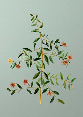 Antique Flower on Green