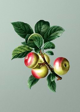 Vintage Botanical on Green