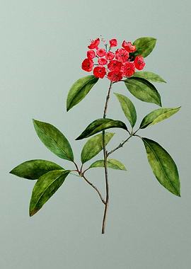 Classic Flower on Green