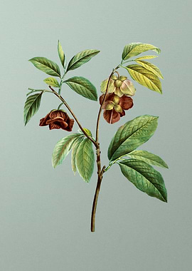 Classic Flower on Green