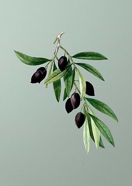 Classic Flower on Green