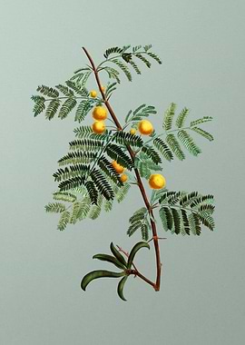 Floral Drawing on Green