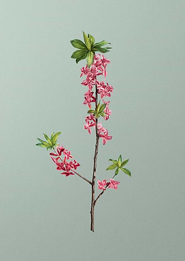 Vintage Flower on Green