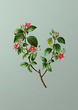 Vintage Flower on Green