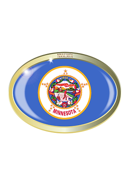 Minnesota State Flag