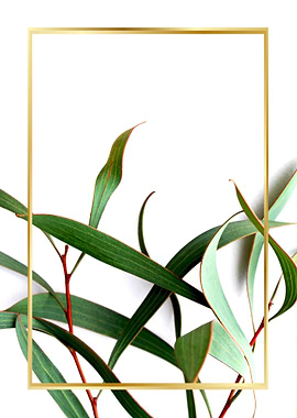 Deco plant with frame