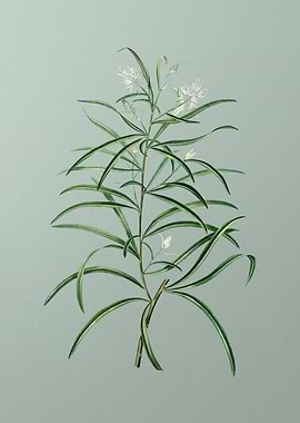 Classic Flower on Green