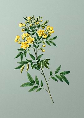 Vintage Botanical on Green