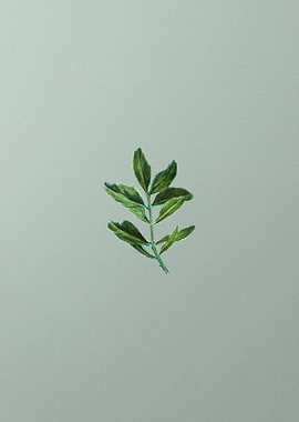 Classic Botanical on Green