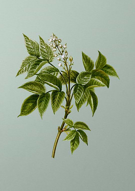 Vintage Flower on Green