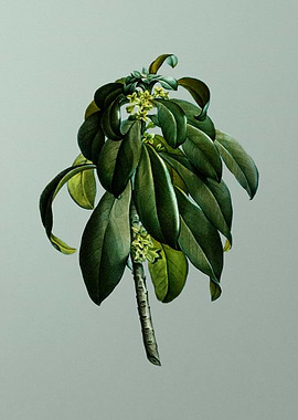 Floral Drawing on Green