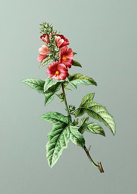 Floral Drawing on Green