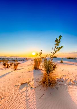 White Sands Sunset