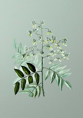 Antique Flower on Green