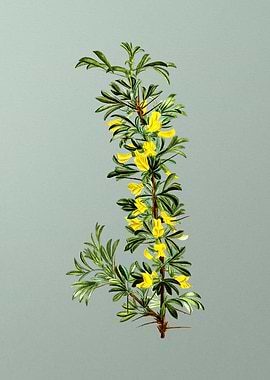 Classic Botanical on Green