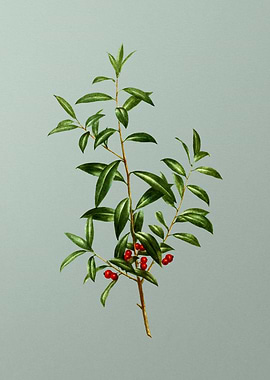 Vintage Botanical on Green