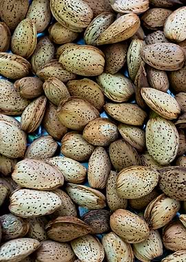 Almond Seeds In Shells