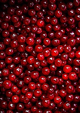 Pile Of Red Cranberries