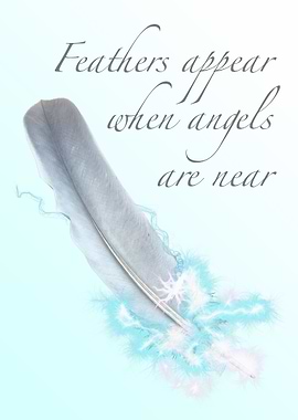 Angel Feather Light