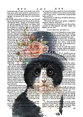 Lady Cat and Dictionary