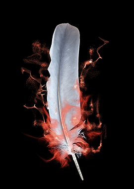 Fire Feather
