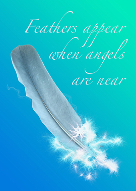 Angel Feather Blue