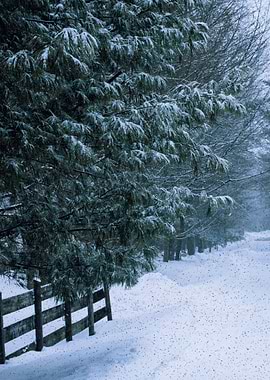 christmas santa gift lol