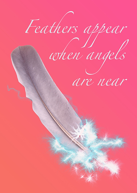 Angel Feather Orange