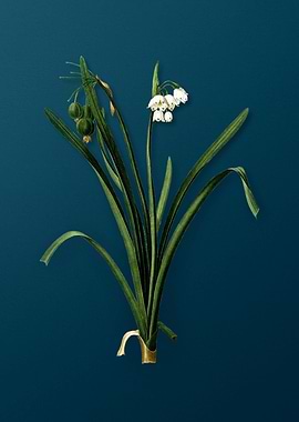 Summer Snowflake Vintage