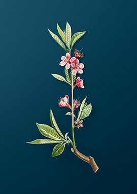 Pink Flower Branch Florals