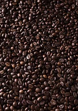 roasted coffee beans