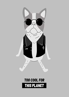 Funny Dog too Cool