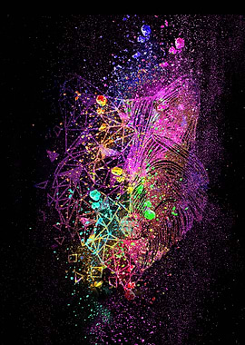 fox on splash colorful