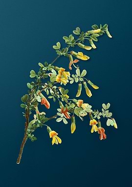 Vintage Botanicals on Teal