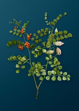 Vintage Flowers on Teal