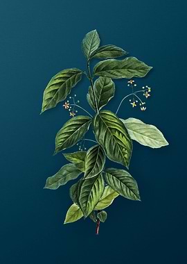 Vintage Florals on Teal