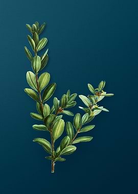 Vintage Florals on Teal