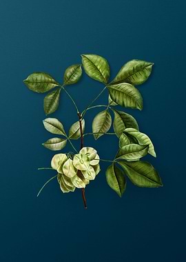 Vintage Flowers on Teal